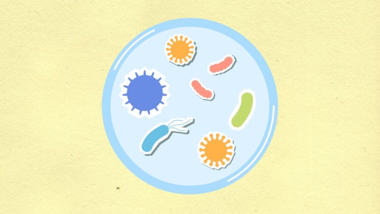 From above of decorative cardboard applique of round shaped cell with various microbes and viruses on yellow background